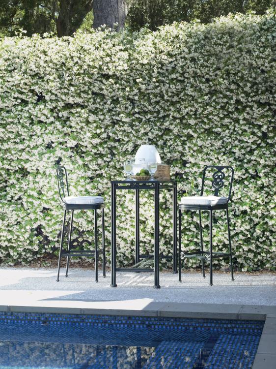 American Home Furniture Century Augustine Bar Stool