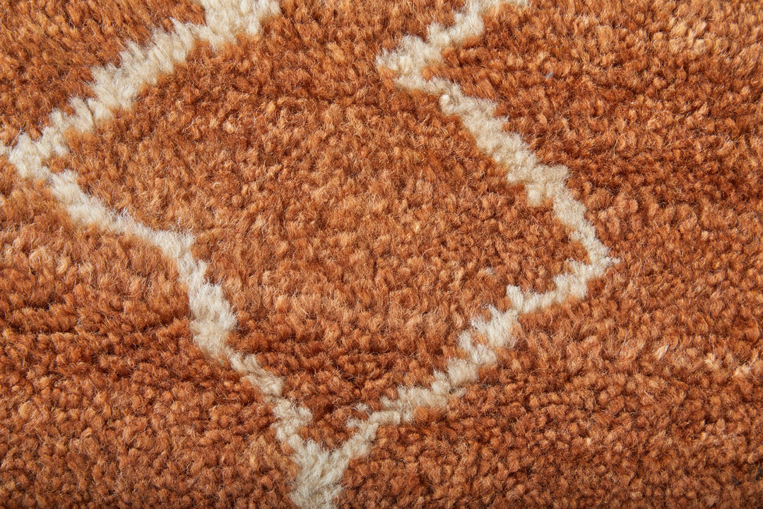 Feizy Rugs Agape Modern Abstract RUGS