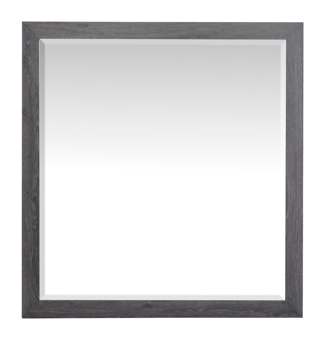 Merrifield Raisin Black Dresser With Portrait Mirror - B6308-2242