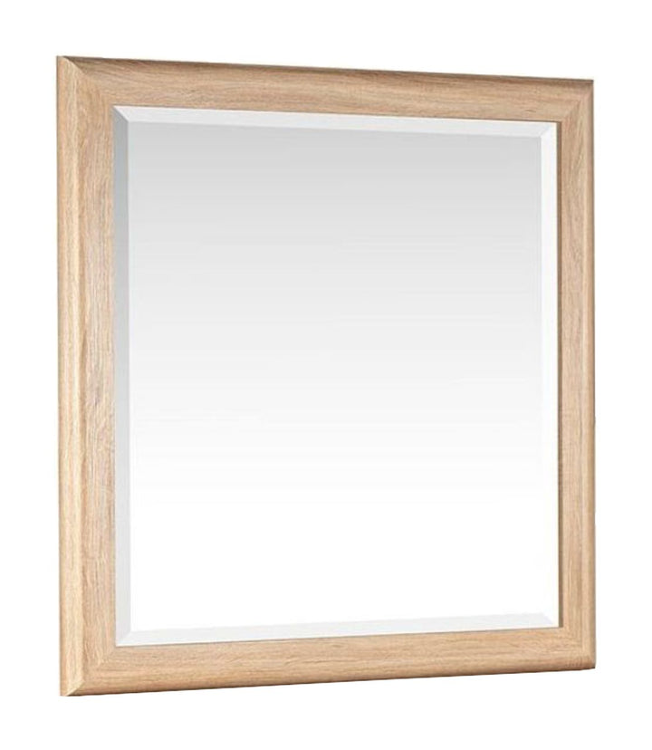 Brentwood Heights Provincial Brown Single Drawer Dresser With Portrait Mirror - B6381-2342