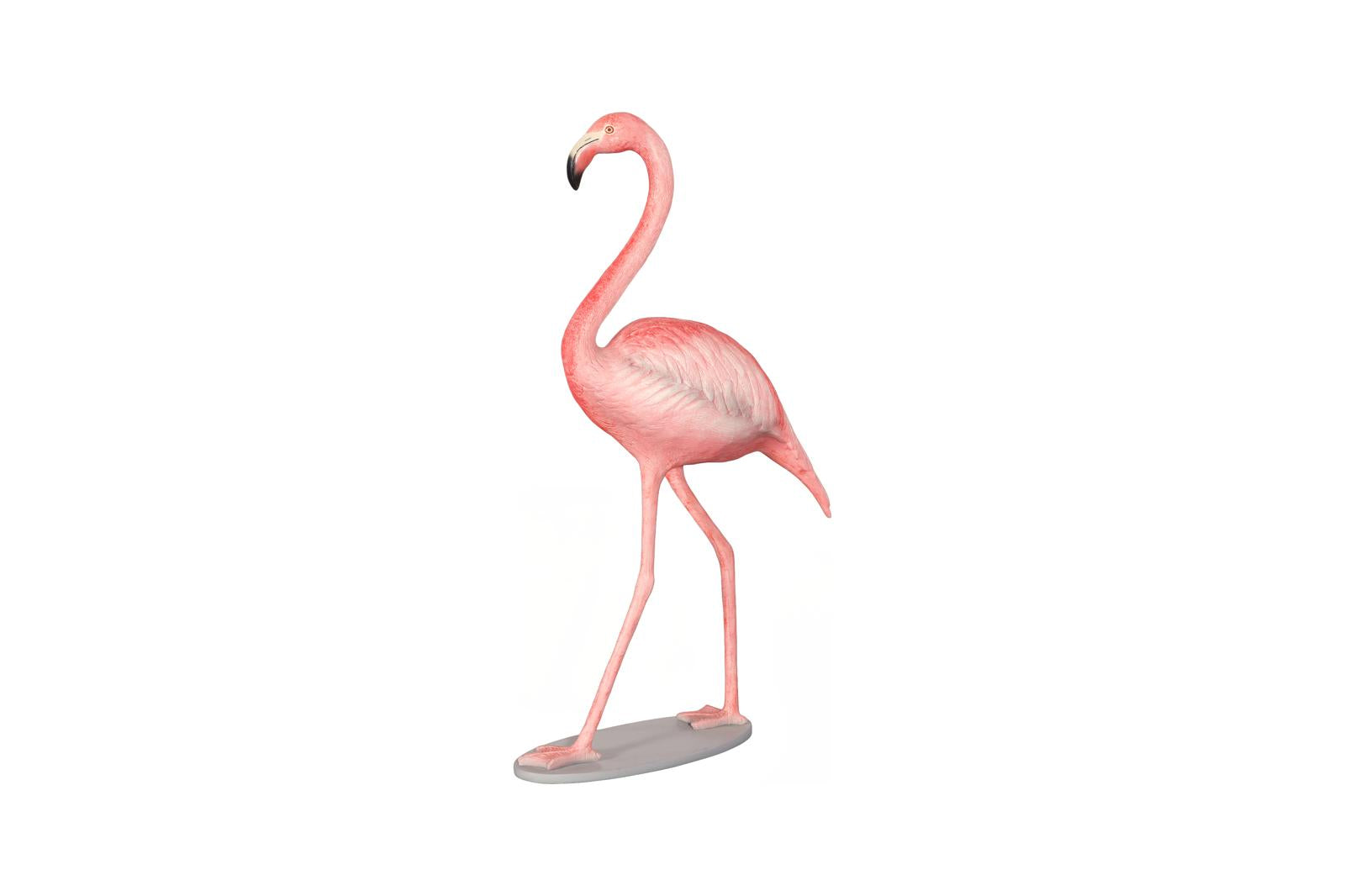 Pink, White