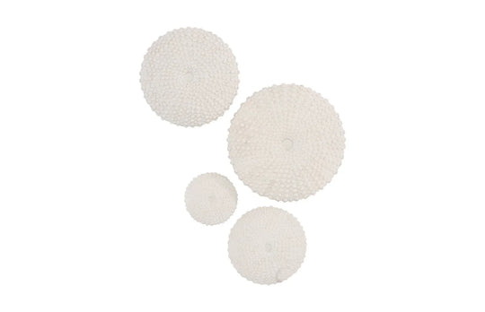 American Home Furniture Phillips Collection Sea Urchin Wall Art