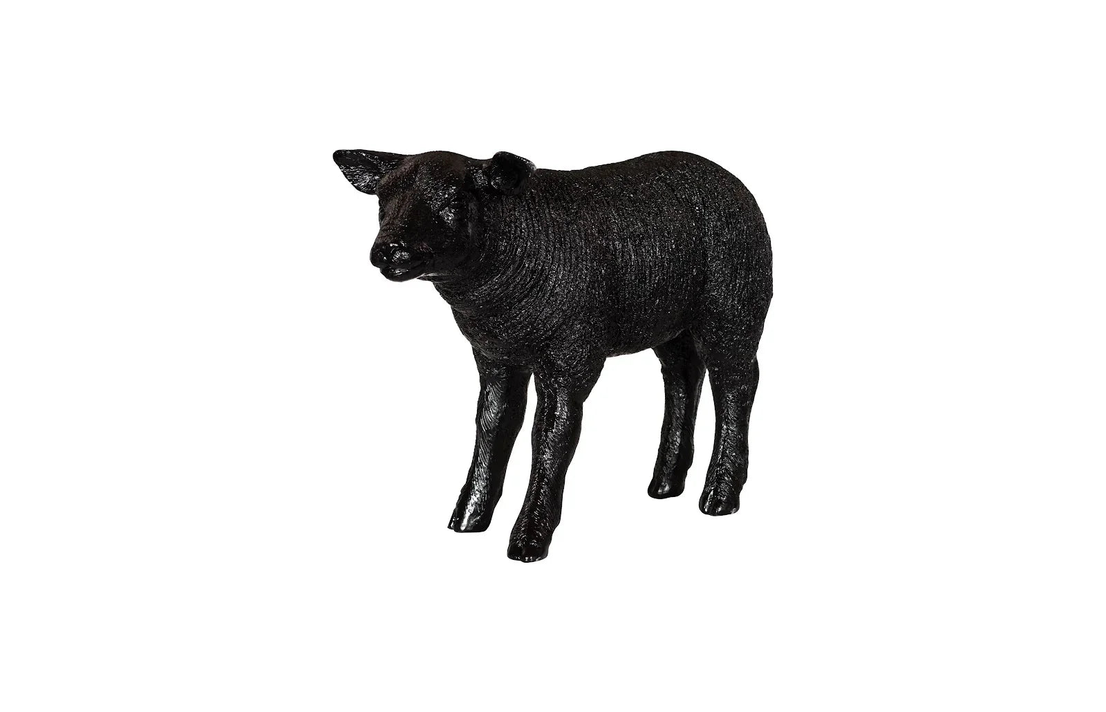 American Home Furniture Phillips Collection Texelaar Sheep