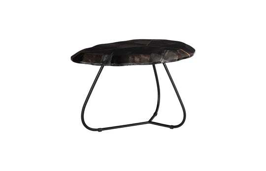 American Home Furniture Phillips Collection Mosaic Leaf Petrified Coffee Table