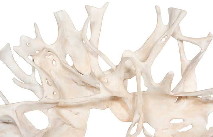 American Home Furniture Phillips Collection Cast Root Wall Decor