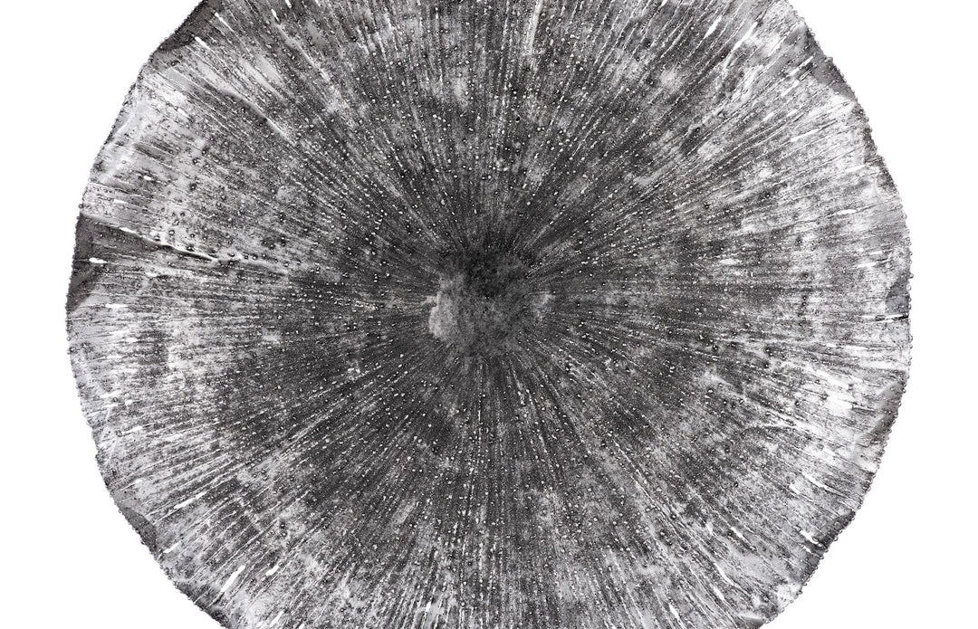 27.5"D x 5"W x 27.5"H/Silver/Black, LG