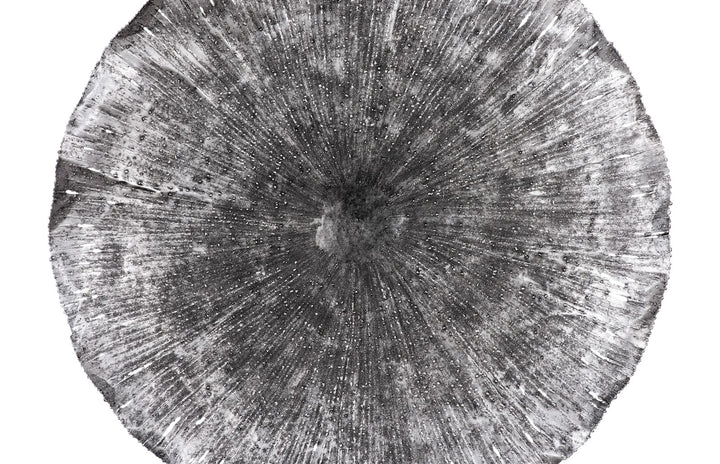 27.5"D x 5"W x 27.5"H/Silver/Black, LG