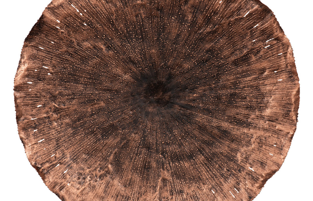 27.5"D x 5"W x 27.5"H/Copper/Black, LG