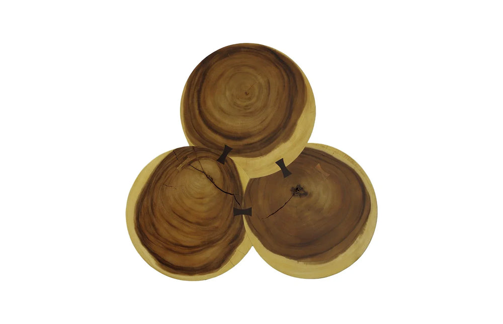 American Home Furniture Phillips Collection Marley Coffee Table