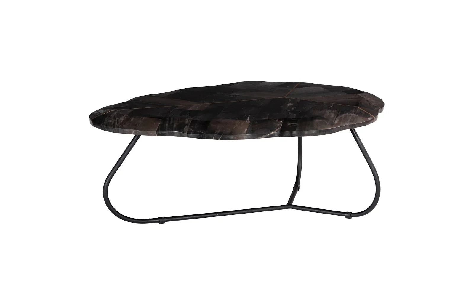 American Home Furniture Phillips Collection Mosaic Leaf Petrified Wood Coffee Table