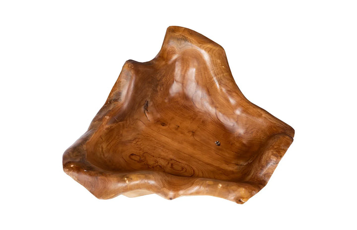 22"D x 19"W x 5.5"H