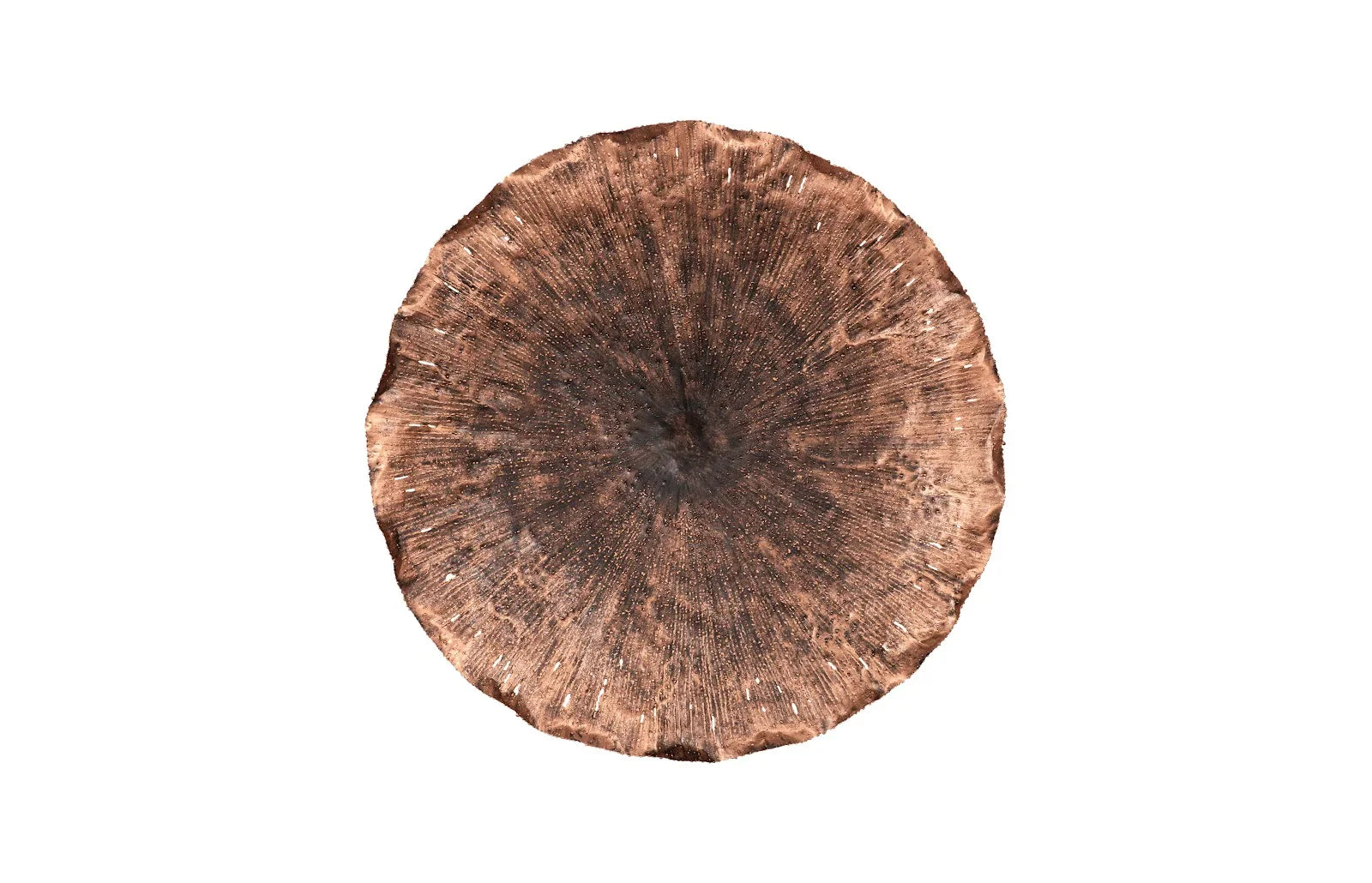 27.5"D x 5"W x 27.5"H/Copper/Black, LG