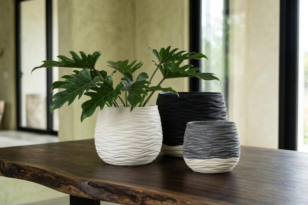 Wavy Vase, Two Tone in setting