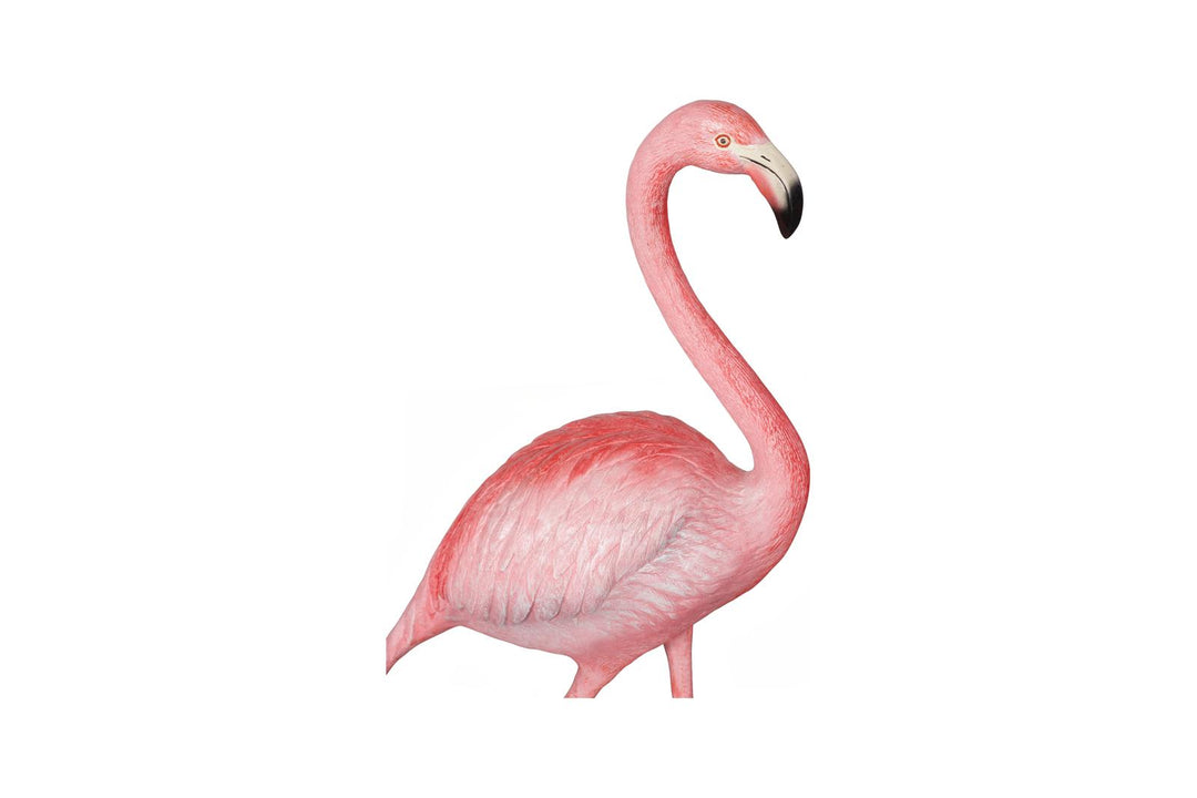 Pink, White