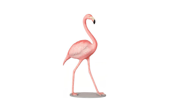 Pink, White