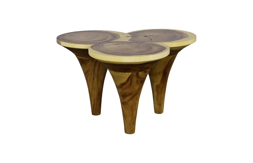 American Home Furniture Phillips Collection Marley Coffee Table