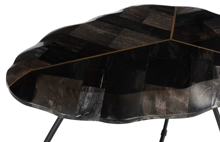 American Home Furniture Phillips Collection Mosaic Leaf Petrified Coffee Table