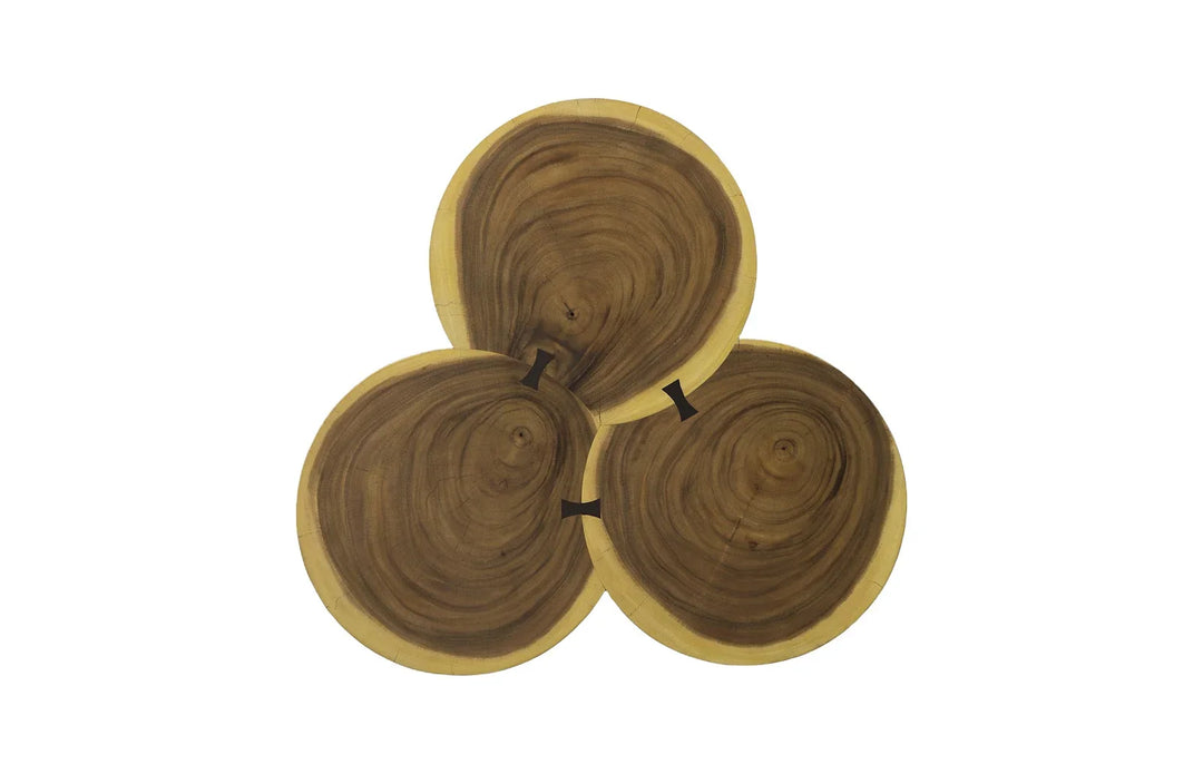 36"D x 36"W x 42"H/Chamcha Wood, Natural
