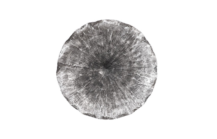 27.5"D x 5"W x 27.5"H/Silver/Black, LG