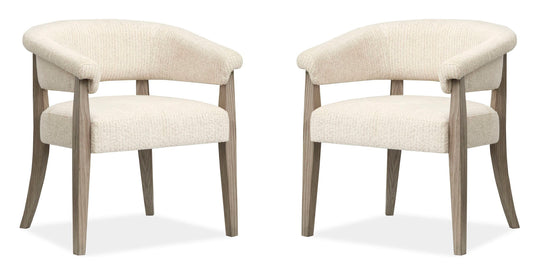 Braelyn Dorian Grey Upholstered Host Chair - Set of 2 - D5874-76