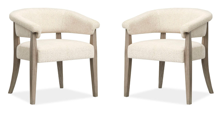 Braelyn Dorian Grey Upholstered Host Chair - Set of 2 - D5874-76
