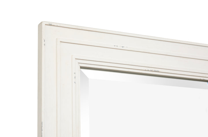 Echo Isles Sea Pearl And Driftwood Double Drawer Dresser With Landscape Mirror - B6310-2240