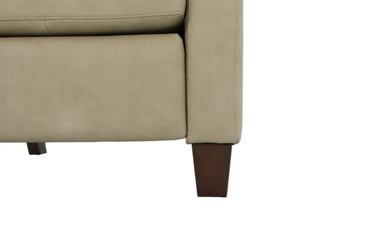 Fairview Push Thru The Arms Recliner