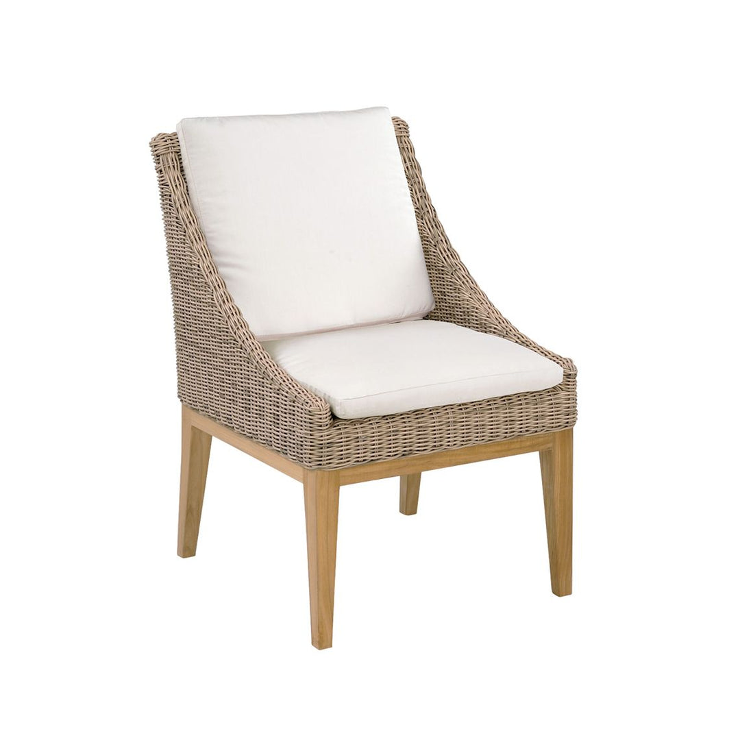 Frances Dining Side Chair - Set of 2