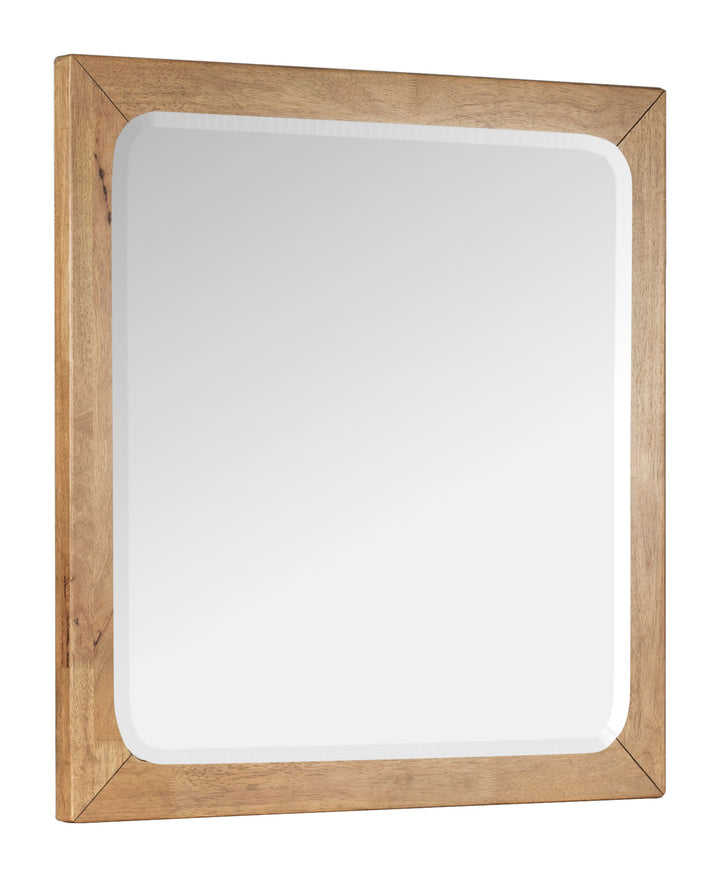 Davenport Rustic Caramel Double Drawer Dresser With Portrait Mirror - B6309-2242