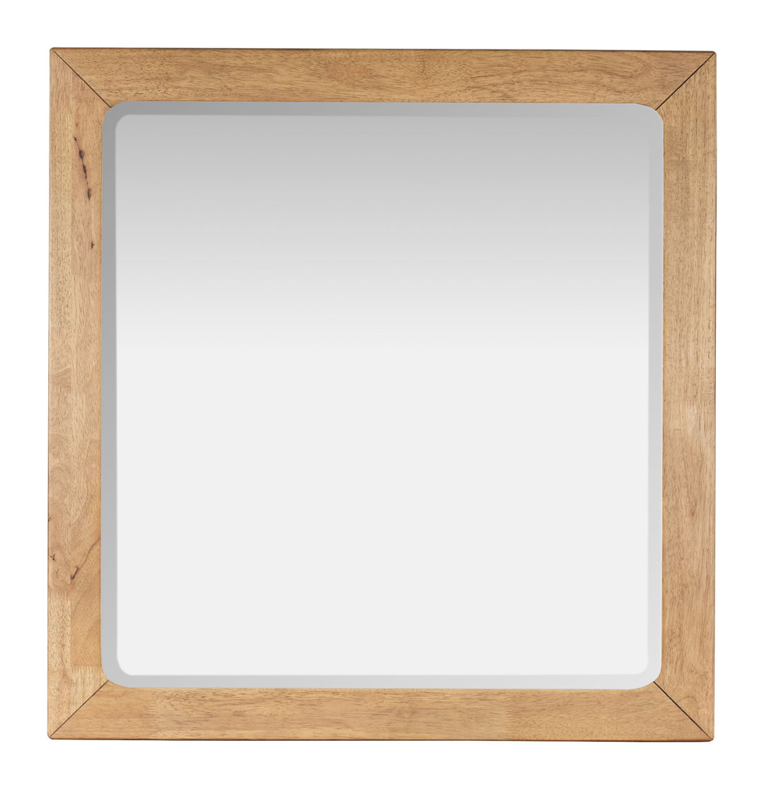 Davenport Rustic Caramel Double Drawer Dresser With Portrait Mirror - B6309-2242