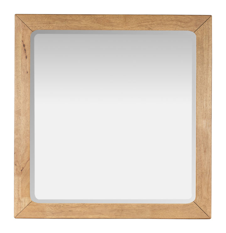 Davenport Rustic Caramel Double Drawer Dresser With Portrait Mirror - B6309-2242