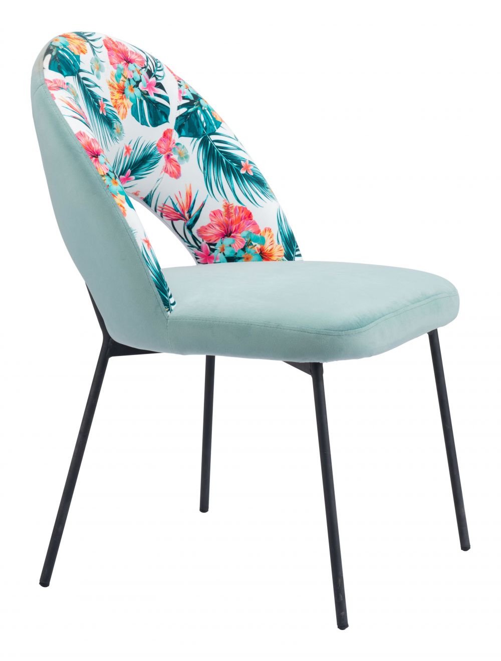 Bethpage Dining Chair (Set of 2) Multicolor Print & Green