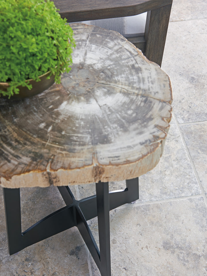 American Home Furniture | Tommy Bahama Outdoor  - Alfresco Living Petrified Wood Table