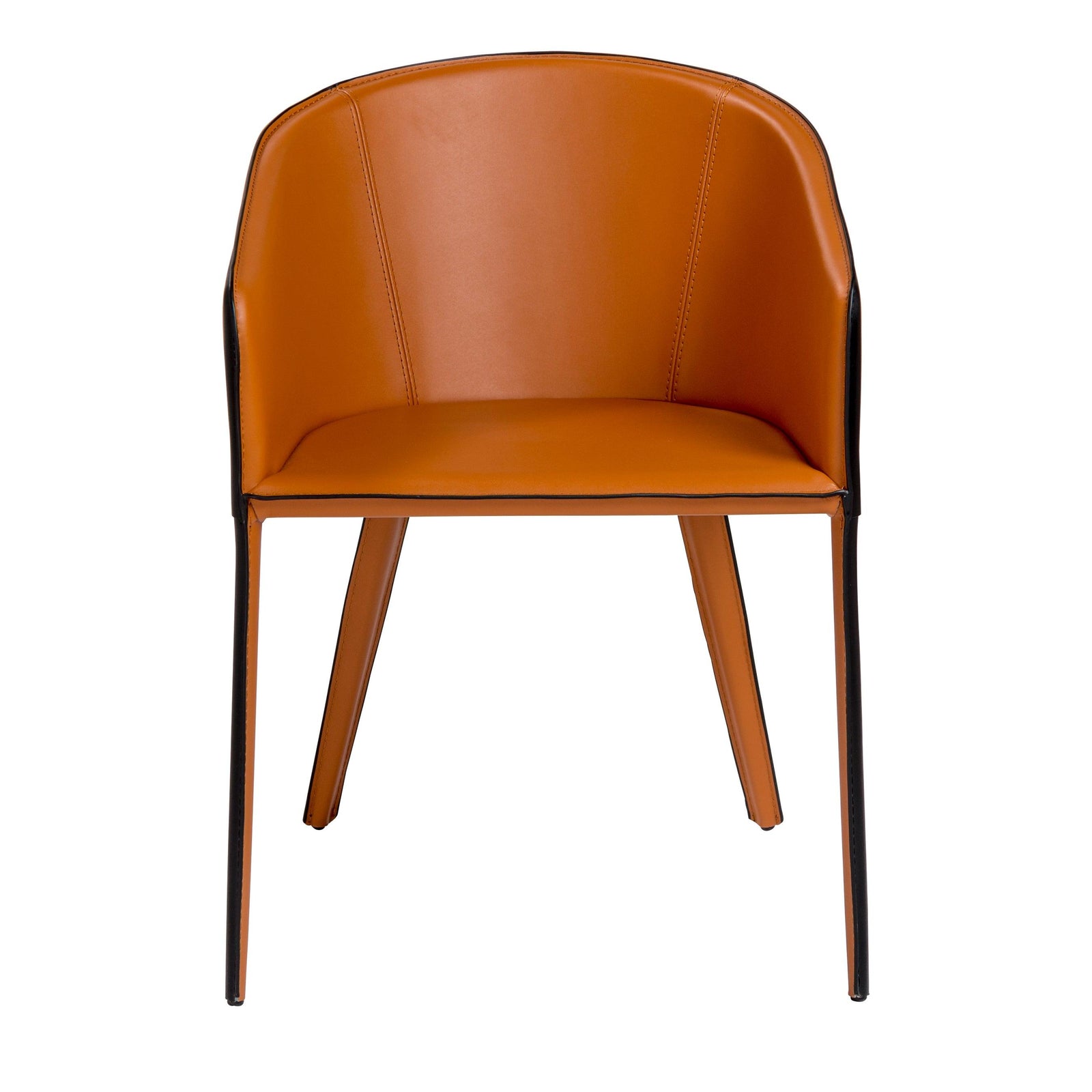 Euro Style Pallas Armchair - Set of 1 DINING CHAIRS
