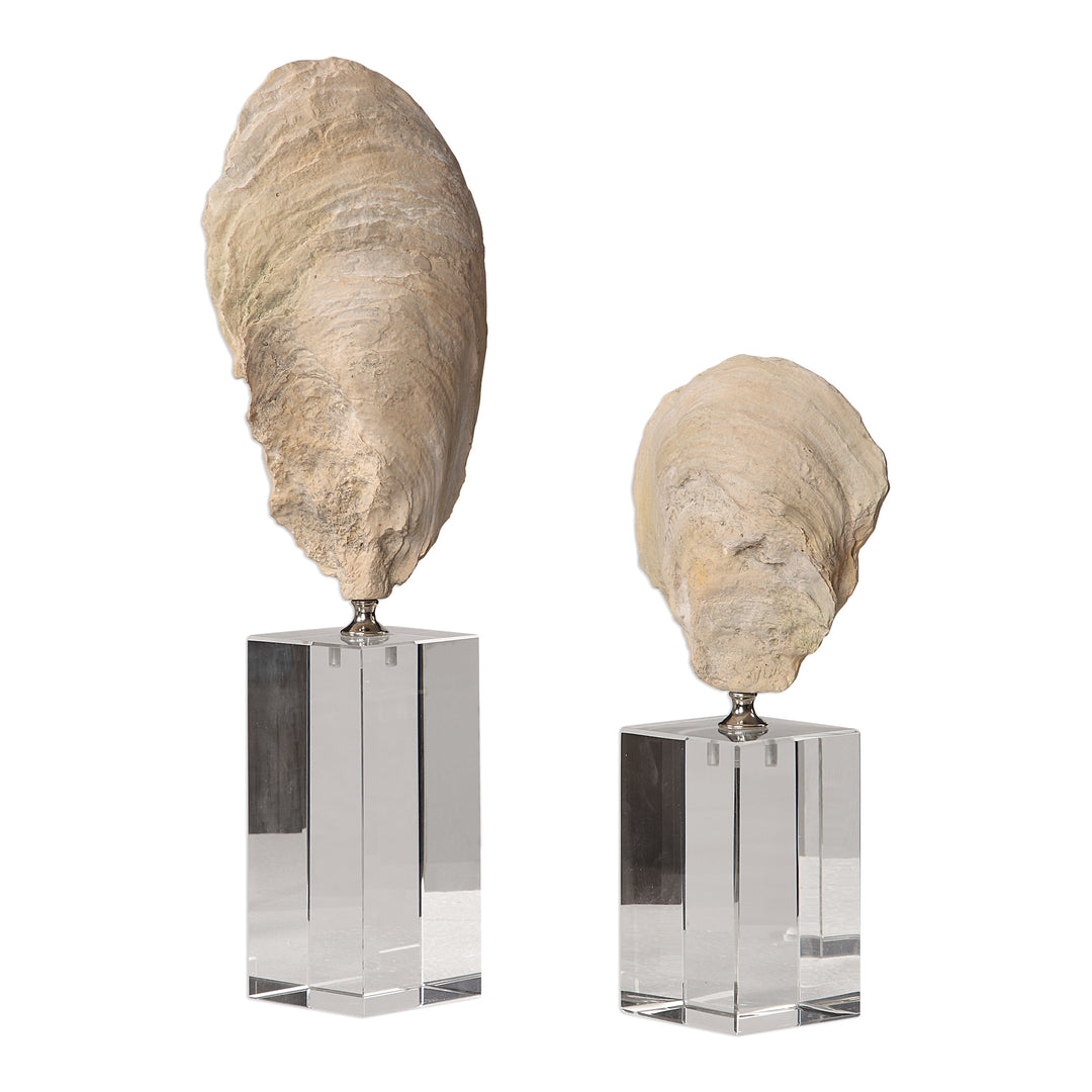 OYSTER SHELL SCULPTURES, SET OF 2 - AmericanHomeFurniture