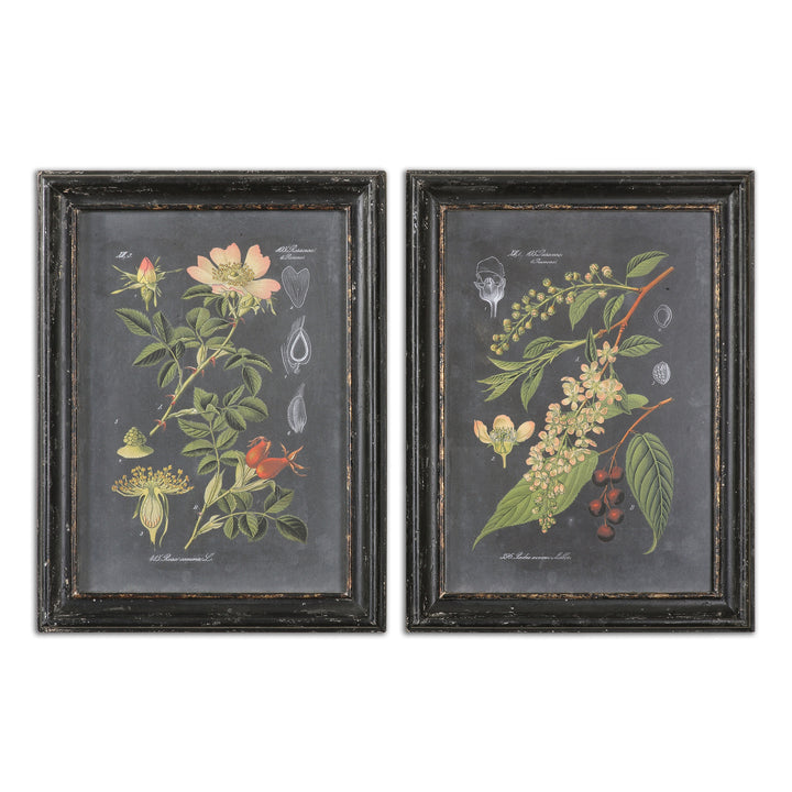 MIDNIGHT BOTANICALS WALL ART SET OF 2 - AmericanHomeFurniture