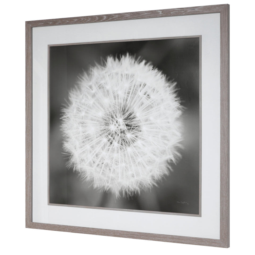 DANDELION SEEDHEAD FRAMED PRINT - AmericanHomeFurniture