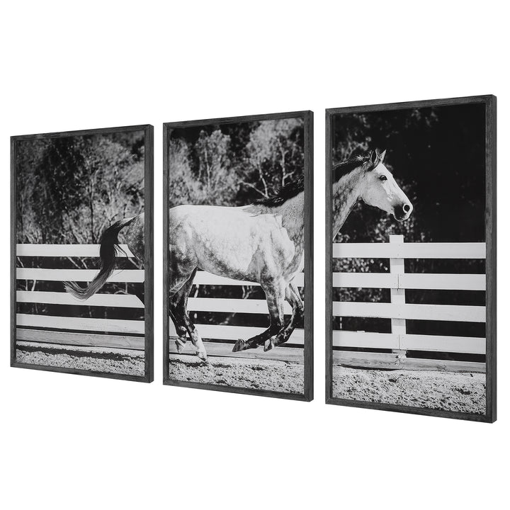 Galloping Forward Equine Prints