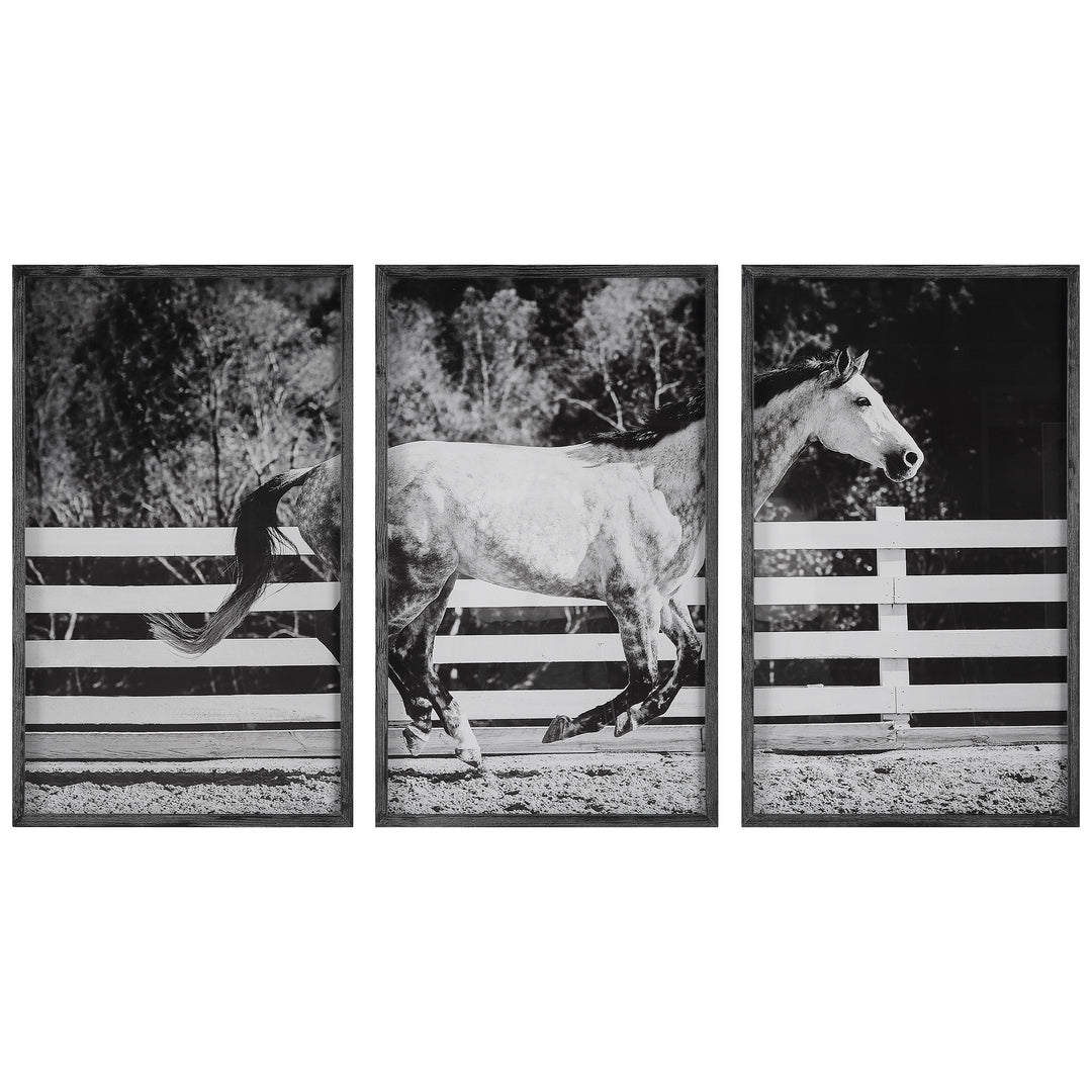 Galloping Forward Equine Prints, Set/3