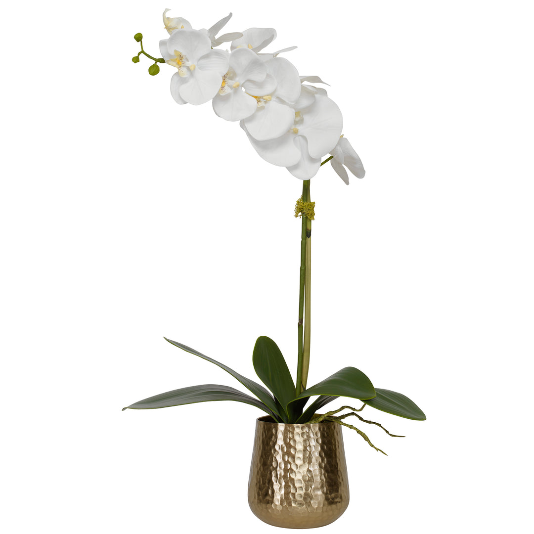 CAMI ORCHID WITH BRASS POT - AmericanHomeFurniture