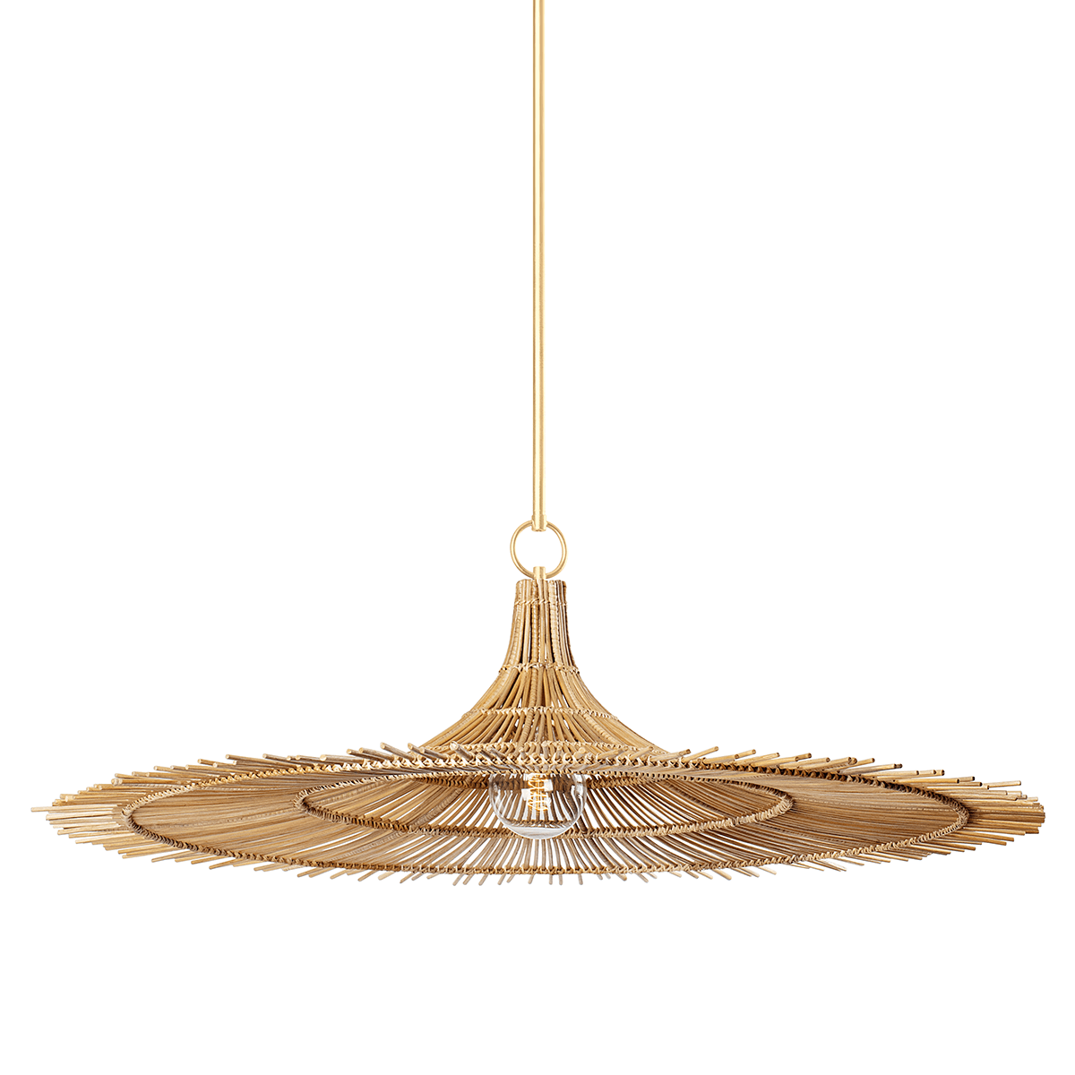 Troy Lighting Costa Mesa One Light Pendant Large PENDANT LIGHTING