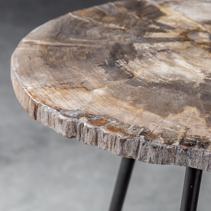 MIRCEA PETRIFIED WOOD ACCENT TABLE - AmericanHomeFurniture