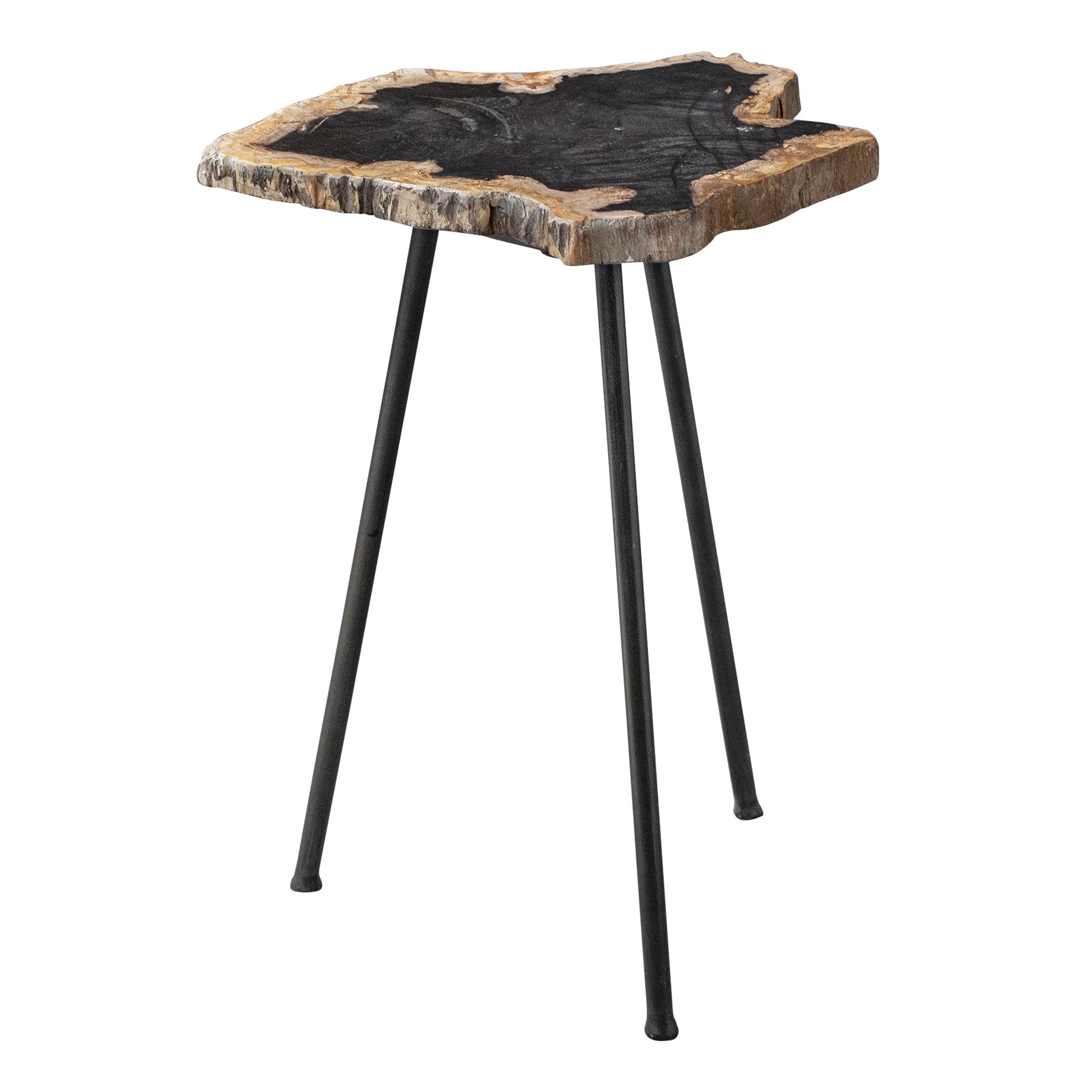 Mircea Petrified Wood Accent Table - Thumbnail 3