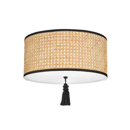 Mitzi Dolores 2 Light Flush Mount FLUSH MOUNT LIGHTING