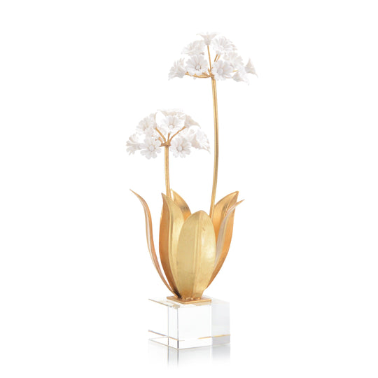 John Richard Allium Moly In Porcelain DECORATIVE OBJECTS