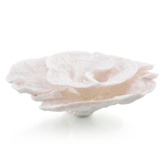 John Richard Foliose Coral DECORATIVE OBJECTS