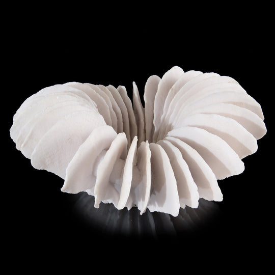John Richard Translucent Ridges Bowl DECORATIVE TRAYS, PLATES, + BOWLS