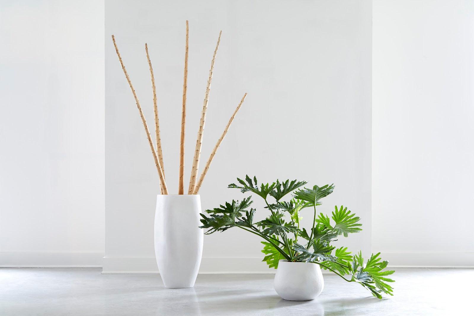 Phillips Collection Claire Planter, Large, White PLANTERS