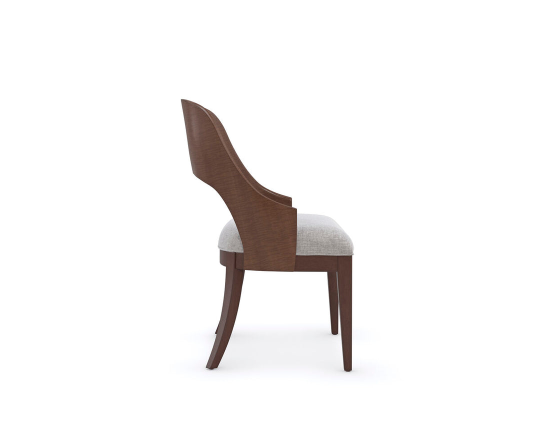OPEN SEATING DINING CHAIR