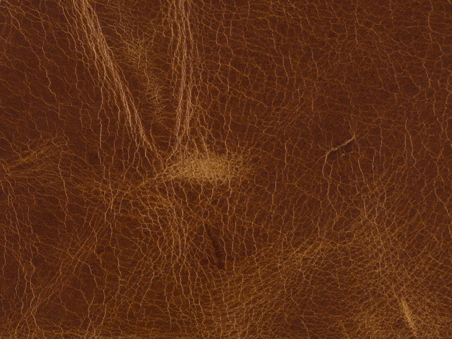 Dark Wood